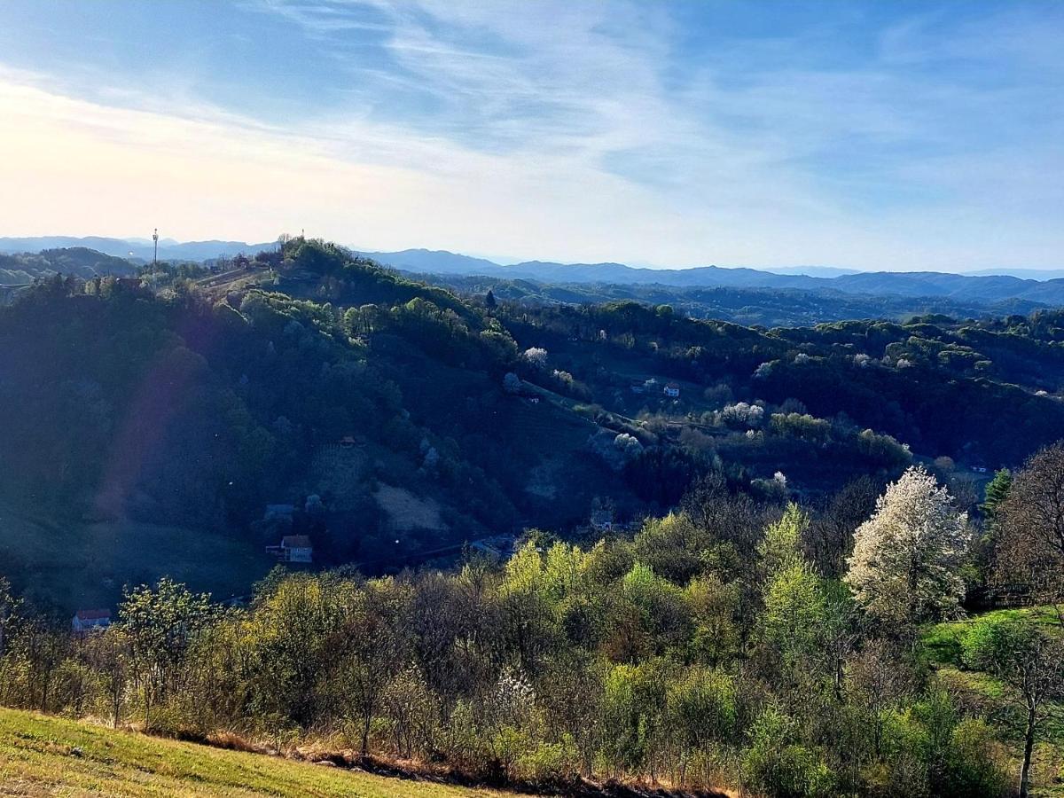Kuca Za Odmor Freya Villa Krapinske Toplice Kültér fotó