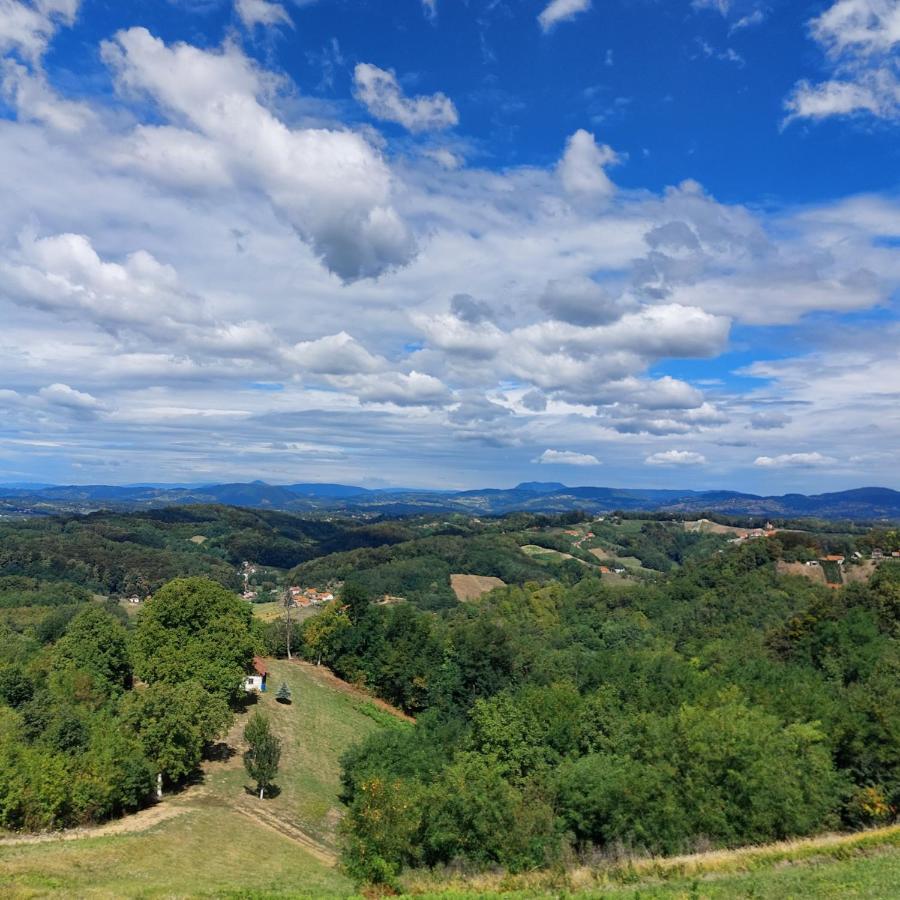 Kuca Za Odmor Freya Villa Krapinske Toplice Kültér fotó