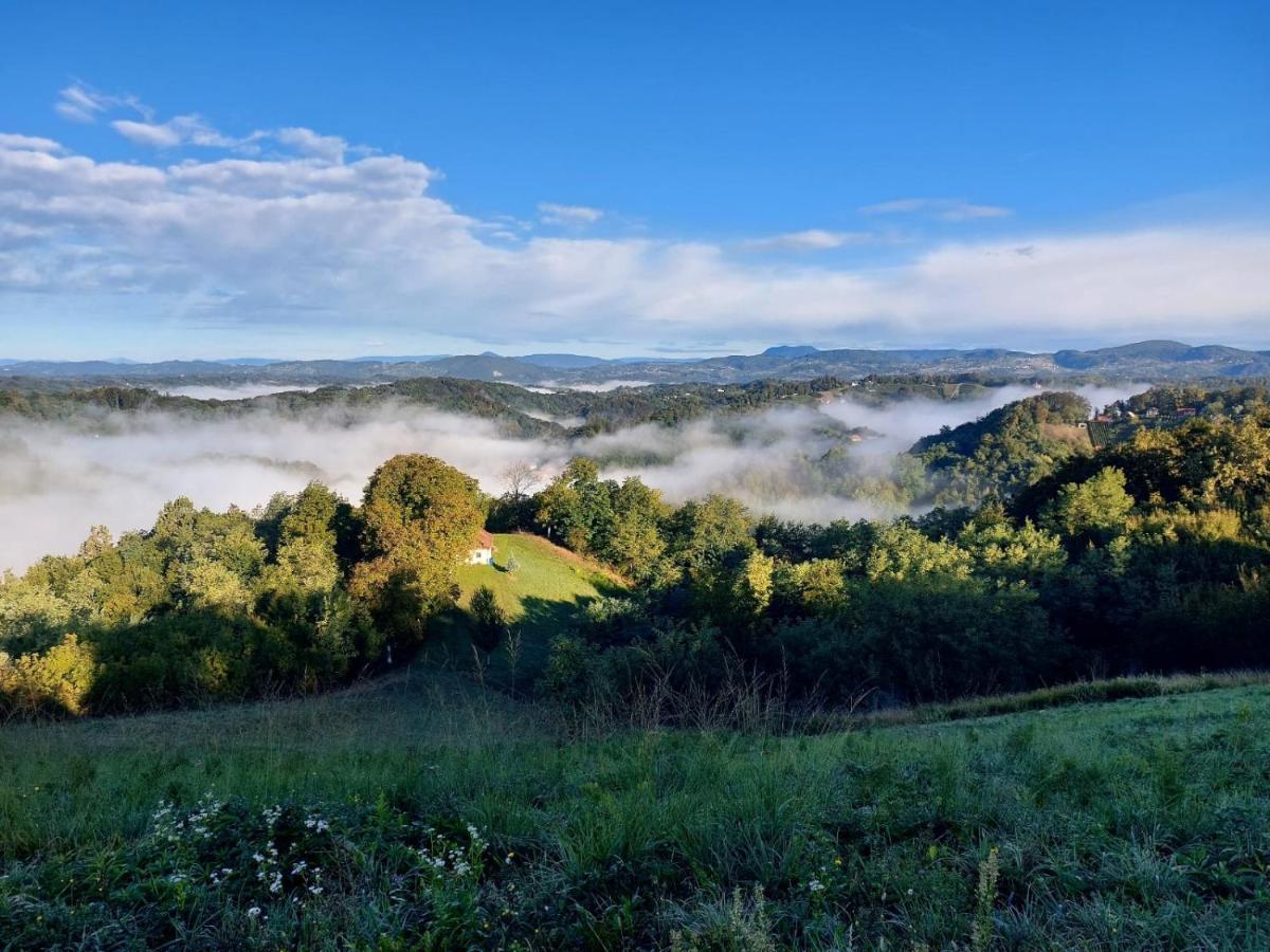Kuca Za Odmor Freya Villa Krapinske Toplice Kültér fotó