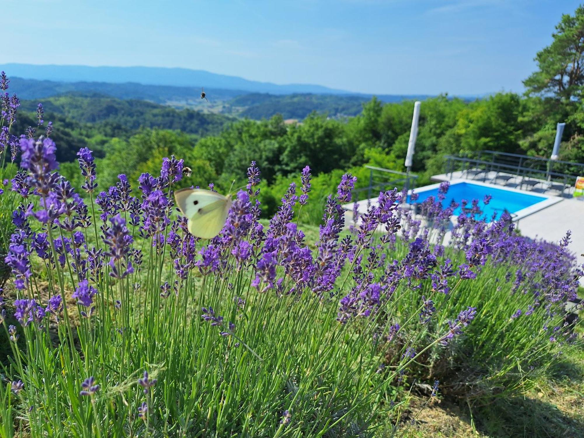 Kuca Za Odmor Freya Villa Krapinske Toplice Kültér fotó