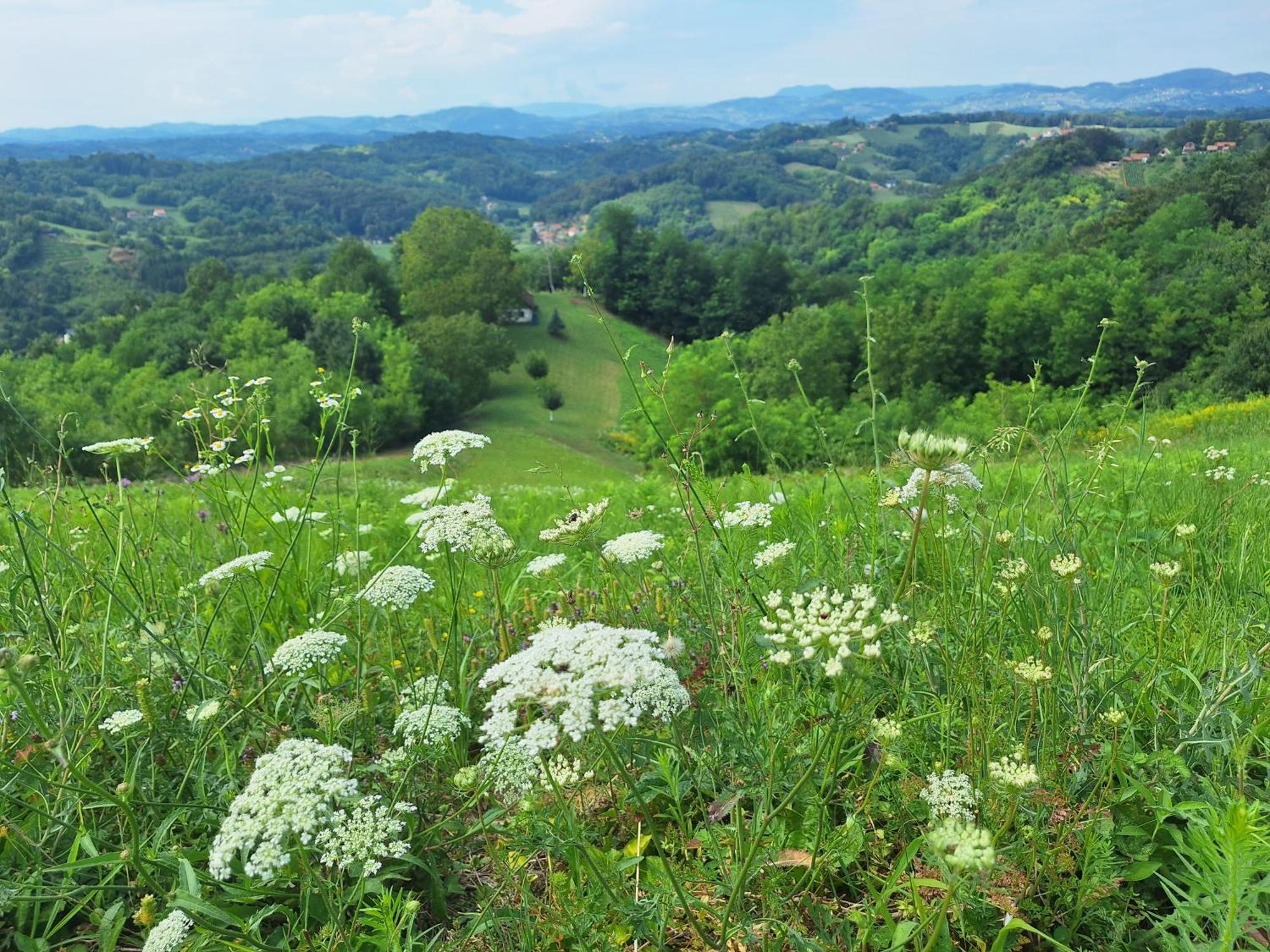 Kuca Za Odmor Freya Villa Krapinske Toplice Szoba fotó