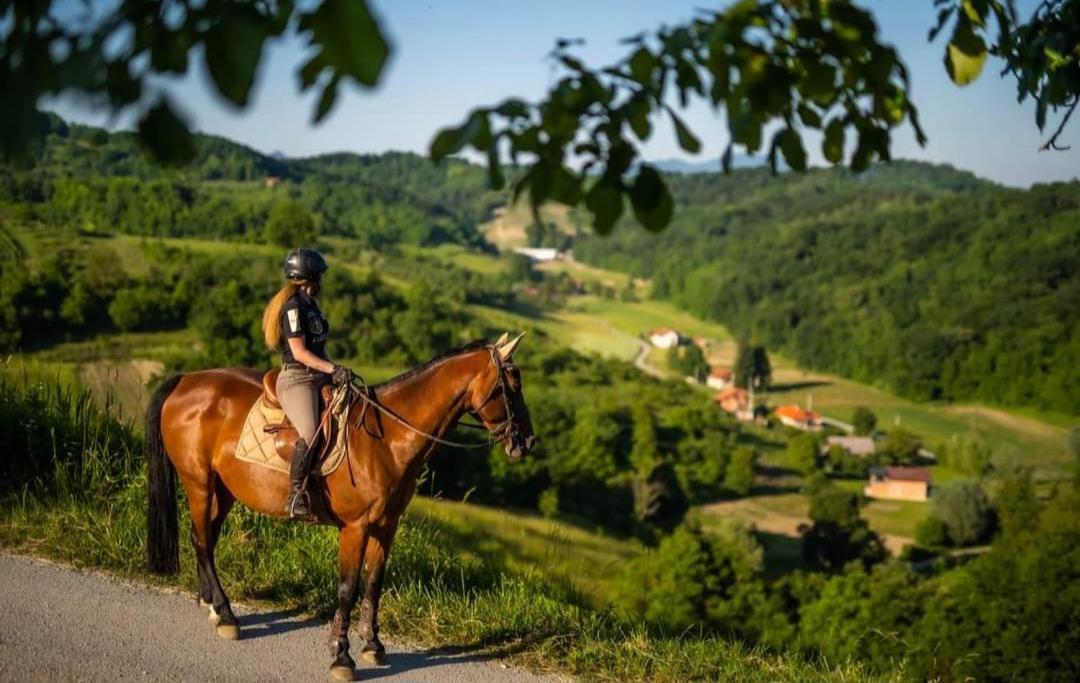 Kuca Za Odmor Freya Villa Krapinske Toplice Kültér fotó