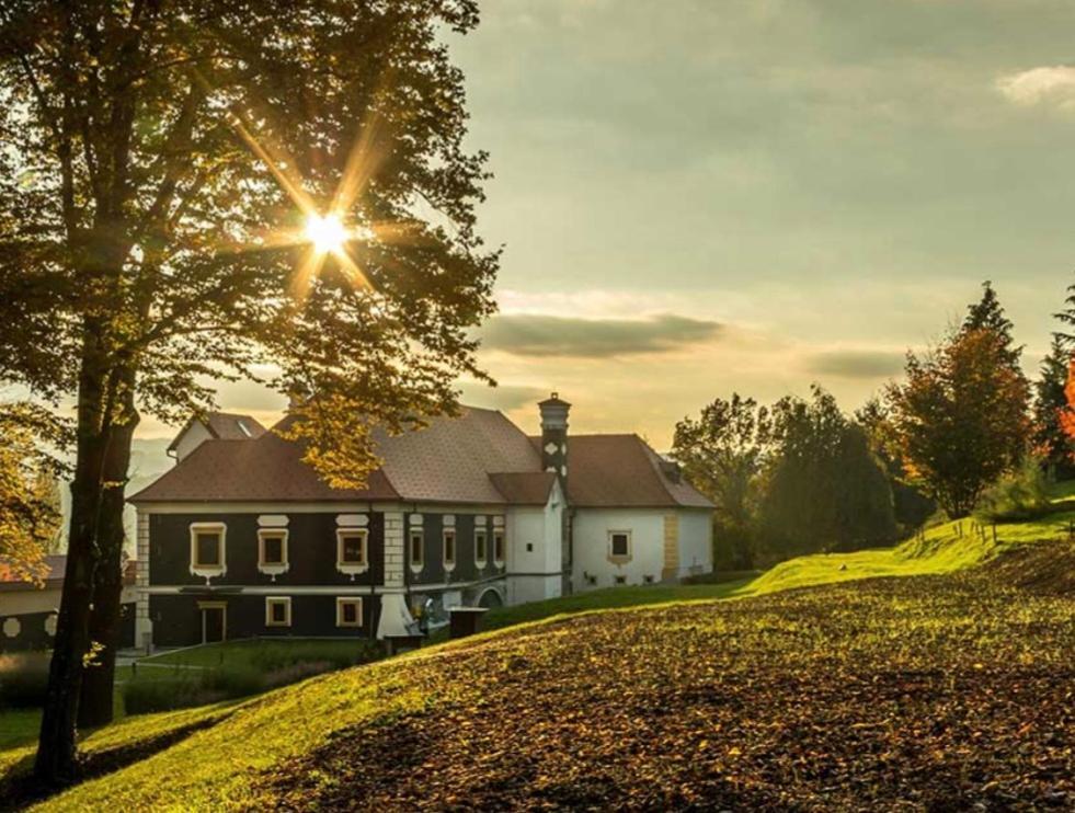 Kuca Za Odmor Freya Villa Krapinske Toplice Kültér fotó